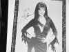 elvira 23.jpg (33828 bytes)